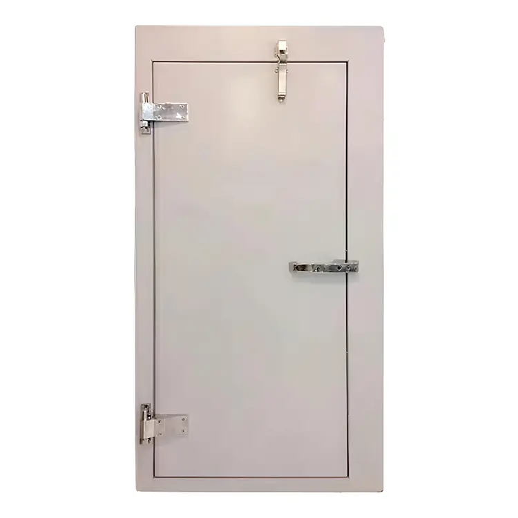 Fully Embedded Cold Storage Door